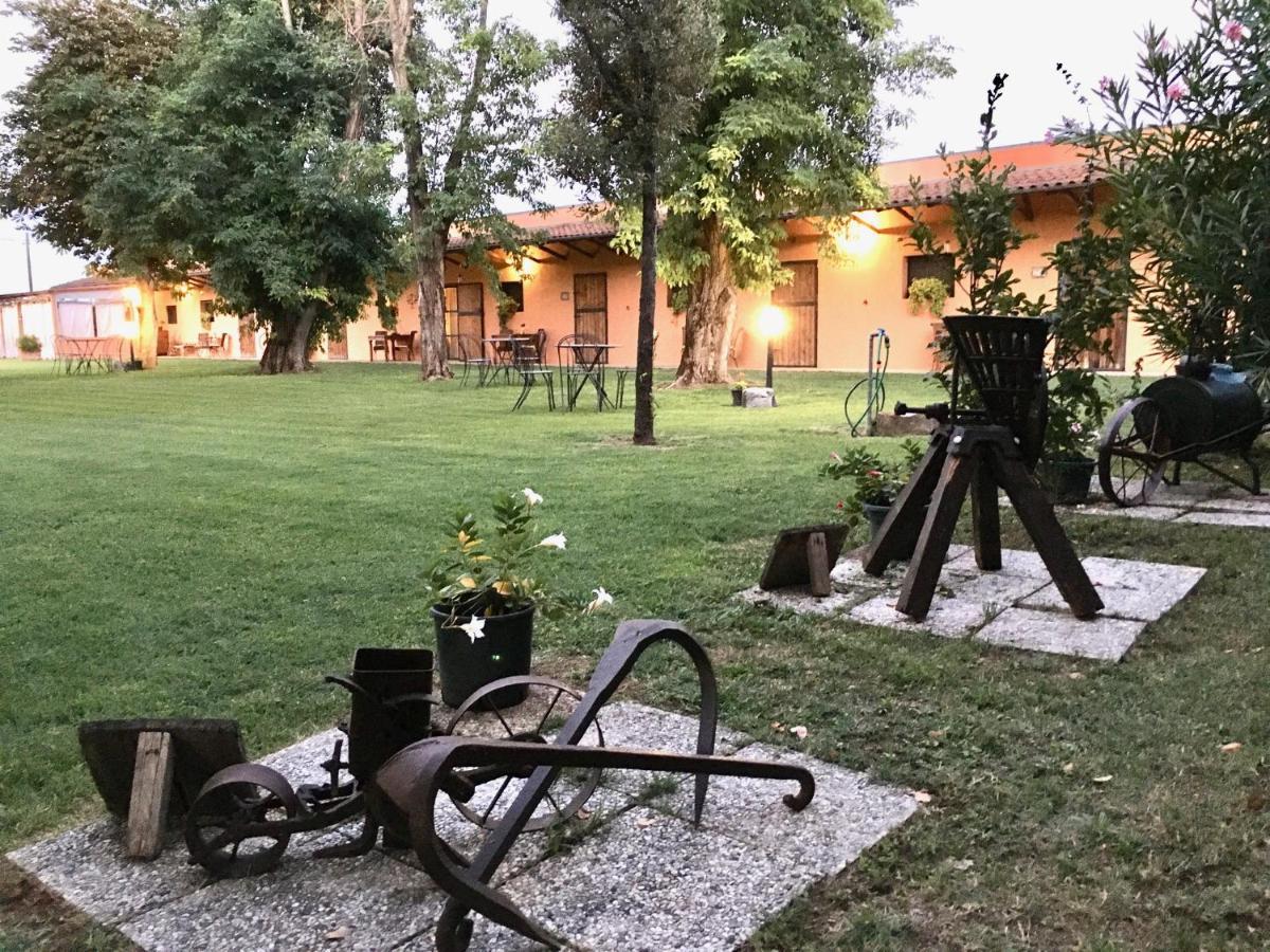 Societa Agricola Le More Agriturismo La Dondina Budrio  Exteriér fotografie