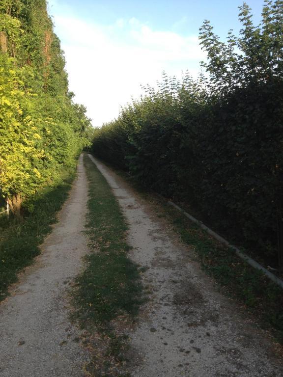 Societa Agricola Le More Agriturismo La Dondina Budrio  Exteriér fotografie
